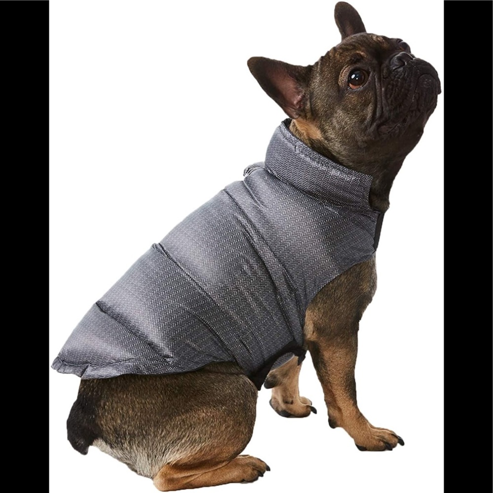 32 Degree Heat Reversible Down Dog Coat 🐶🐾